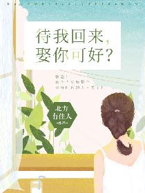 待我回來娶你可好小說