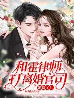 和霍律師打離婚官司她贏了小說