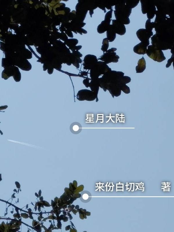 星月大陸星染的結局