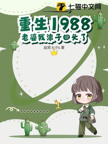 小說重返1988老婆我回來了