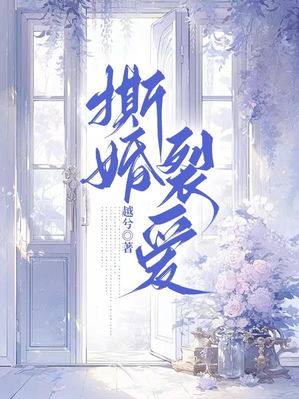 撕婚十年 小說