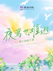 夜鶯葉安琪的小說