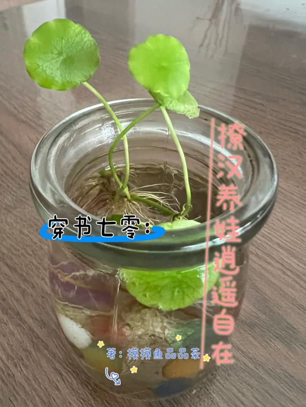 穿書七零養娃的日子