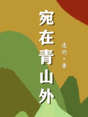 宛在青山外小說結局