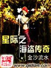 星際之海盜傳奇 小說