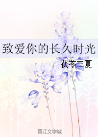 致愛你的長久時光