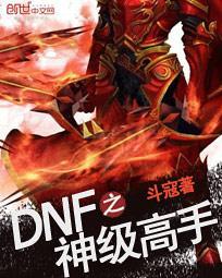 dnf之神級高手