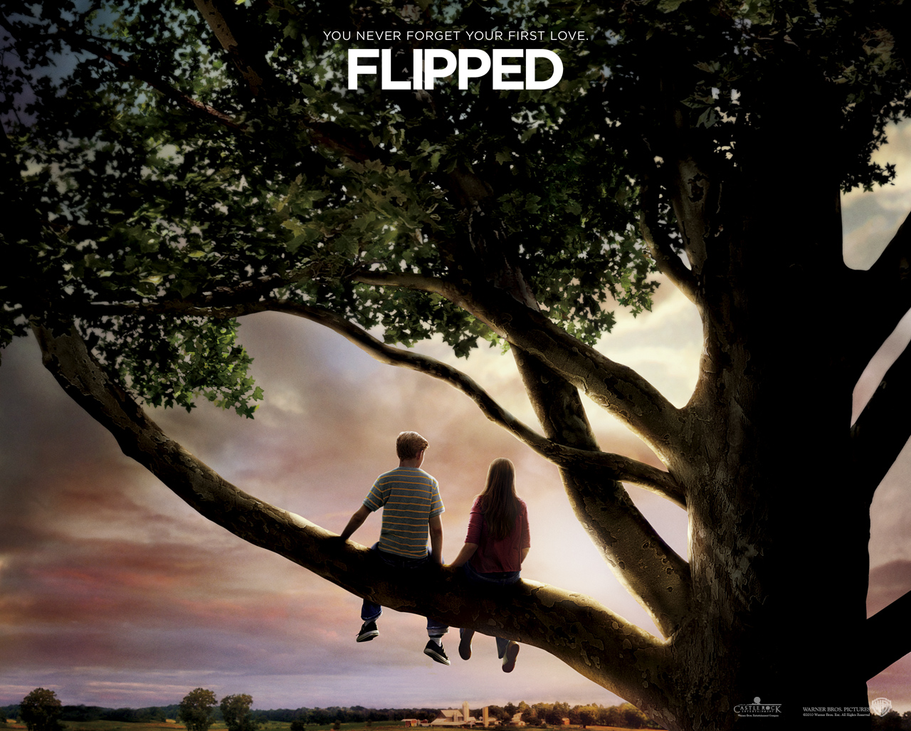 flipped chapter 13