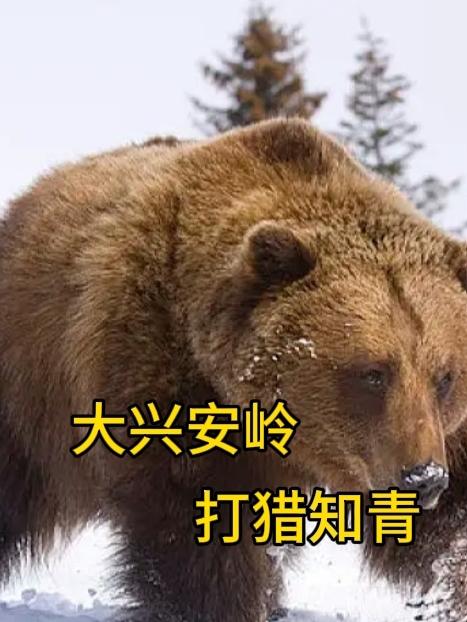 大興安嶺打獵會被抓嗎