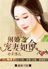 鬧婚之寵妻如命 小說