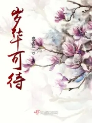 歲華新什麼意思