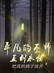 平凡的巫師：直到永恆