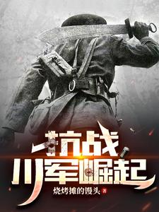 抗戰川軍是集團軍嗎