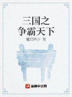 三國之爭霸魏蜀吳小說