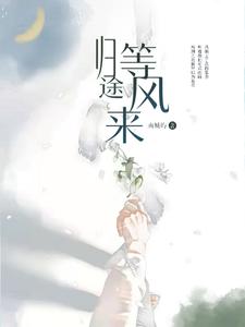 歸途等風來小說介紹