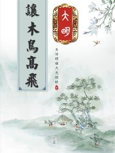 穿越明朝當木匠大臣的小說