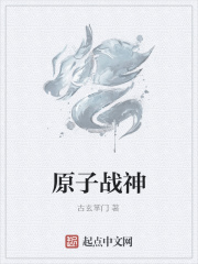 原子戰隊的玩具測評