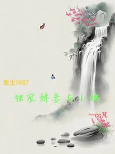 重生1987獨寵嬌妻與小姨