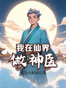 我在仙界做神醫小說