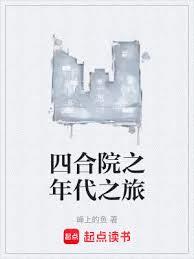 四合院之年代之旅小說