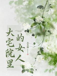 大宅院裡的女人小說