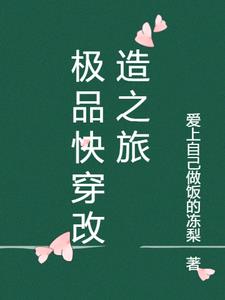 極品改造手冊[快穿