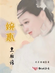 婉後傳評價