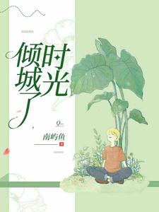 傾城了時光小說