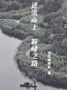 官道人生 小說