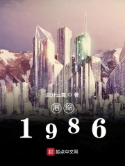 港綜1986免費小說閱讀