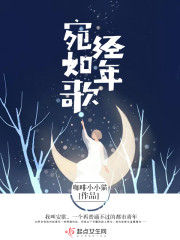 宛若經年 小說