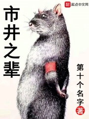 市井之輩小說