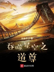 吞噬星空之道尊小說