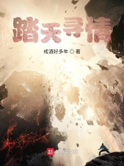 踏天爭鋒小說