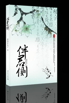 伴君側小說好看嗎