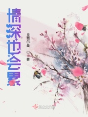 情深不晚小說