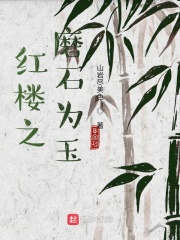 紅樓之磨石為玉小說