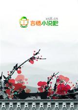 穿越王妃帶空間小說