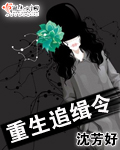 重生追女神小說