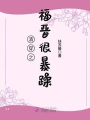 清穿之福晉小說